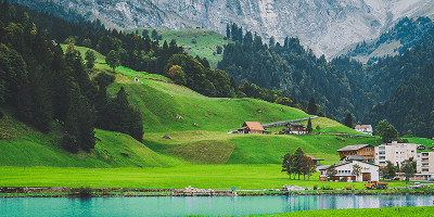 Vector Graphics Software